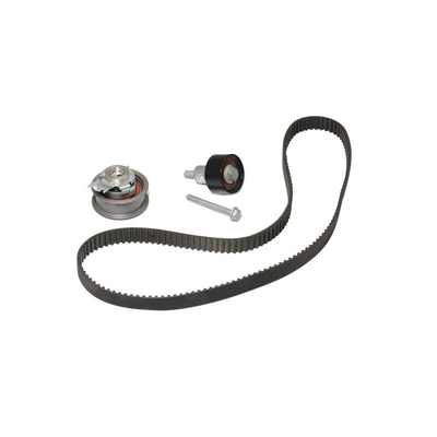 21SKV004 타이밍 벨트 키트 OEM 04E198119 for BEETLE 9C1 원본 참조 번호 21SKV004